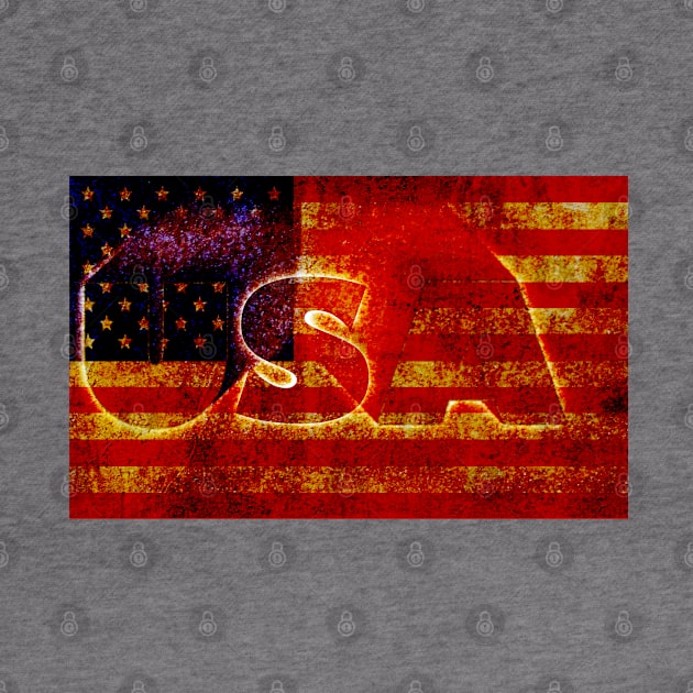 USA 3D Grunge Stars and Stripes Flag by KZK101